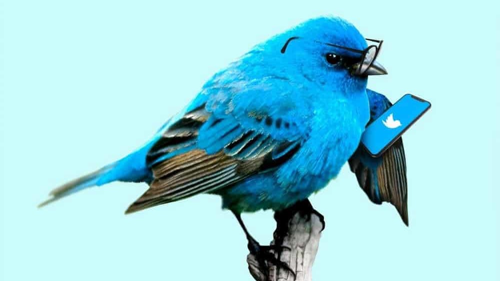 Larry the Twitter bird using a cellphone